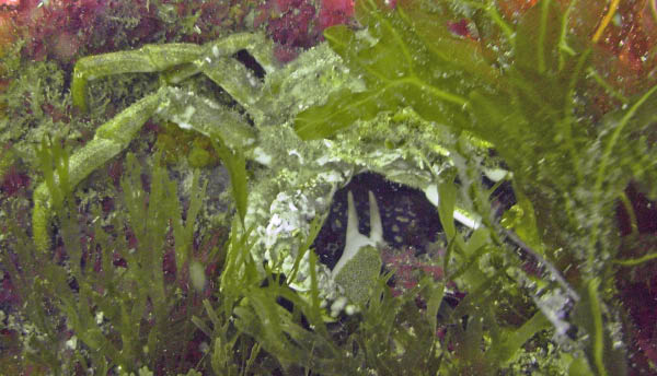 M0012207a