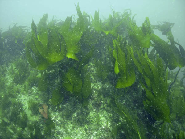 M0012214a