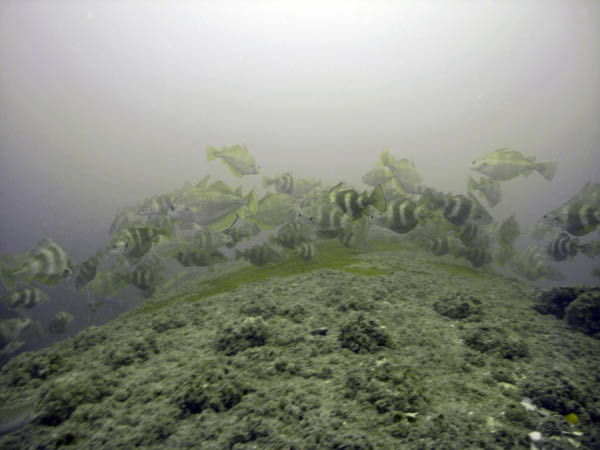 M0012230a