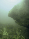 M0012202