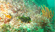 M0012205