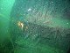 M0012224a