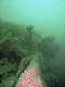 M0012227a